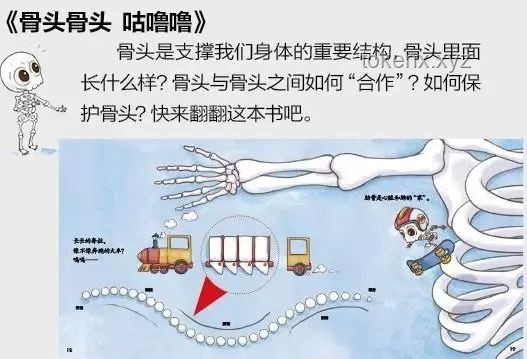 【毕导趣味科普】探索人体奥秘：正确理解呼吸方式与误区